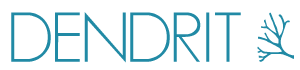 Dendrit  – sundheds IT på forkant